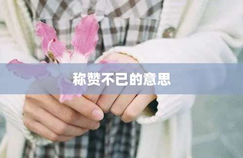 称赞不已的意思