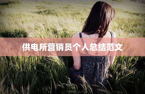 供电所营销员个人总结范文