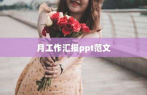 月工作汇报ppt范文