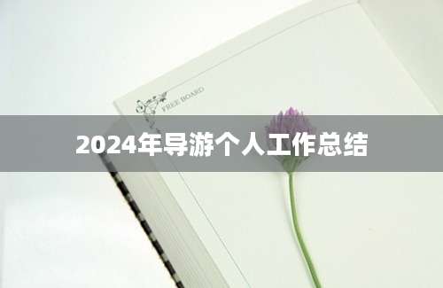 2024年导游个人工作总结