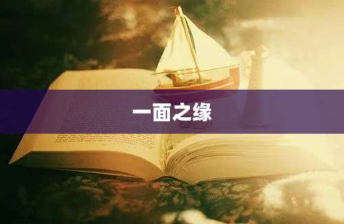 一面之缘