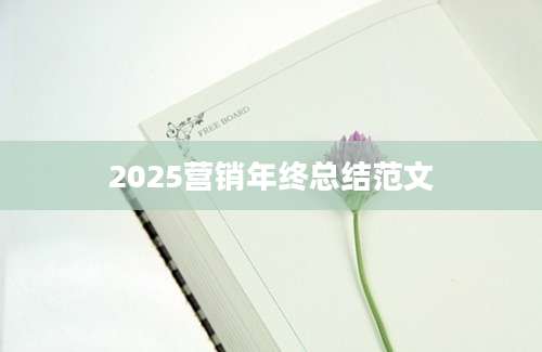 2025营销年终总结范文