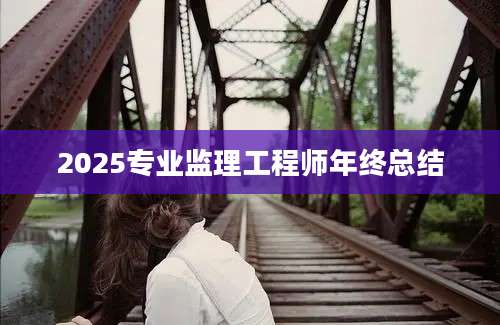 2025专业监理工程师年终总结