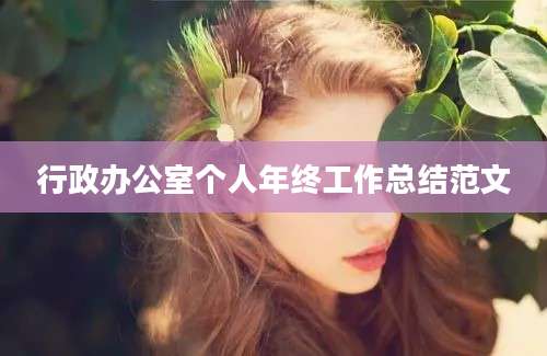 行政办公室个人年终工作总结范文