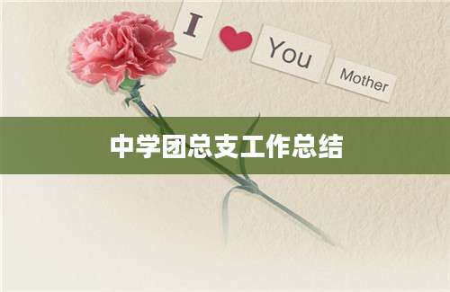 中学团总支工作总结