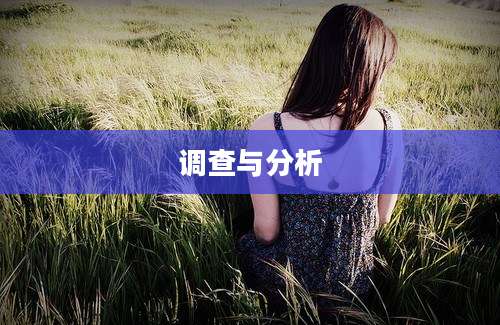 调查与分析