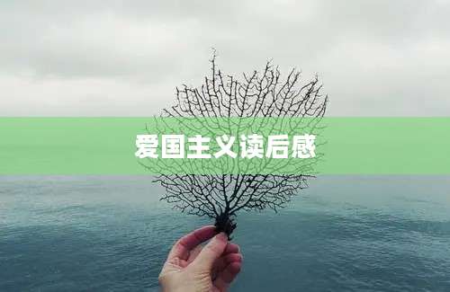 爱国主义读后感