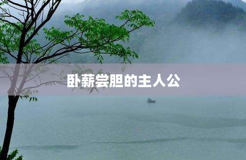 卧薪尝胆的主人公