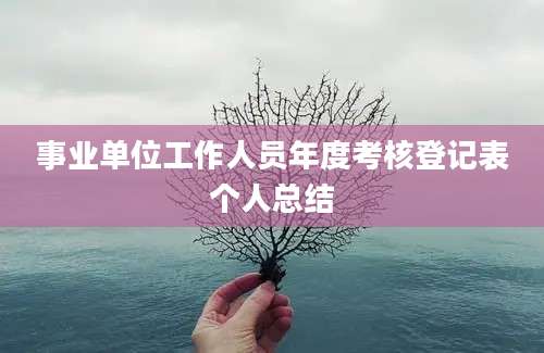 事业单位工作人员年度考核登记表个人总结