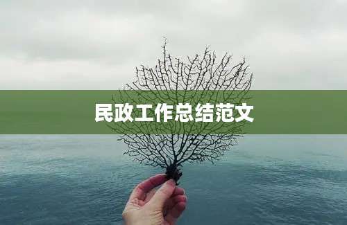 民政工作总结范文