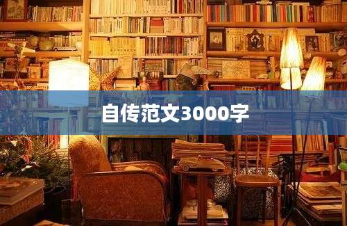 自传范文3000字