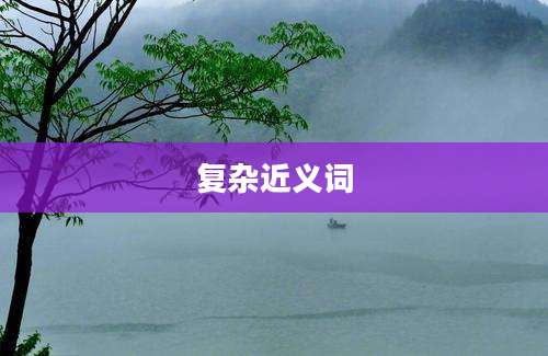 复杂近义词