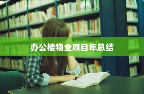 办公楼物业项目年总结