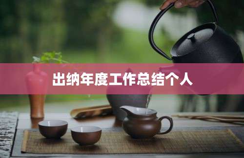 出纳年度工作总结个人
