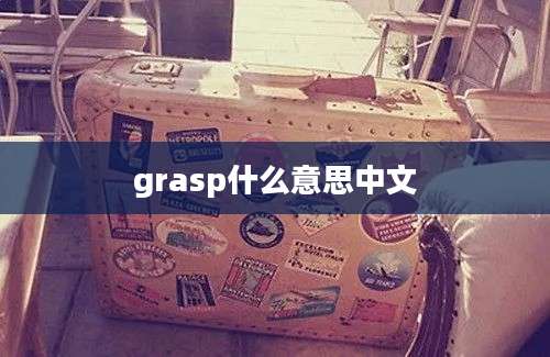 grasp什么意思中文