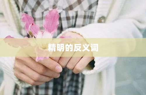 精明的反义词