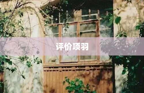 评价项羽