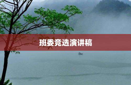 班委竞选演讲稿