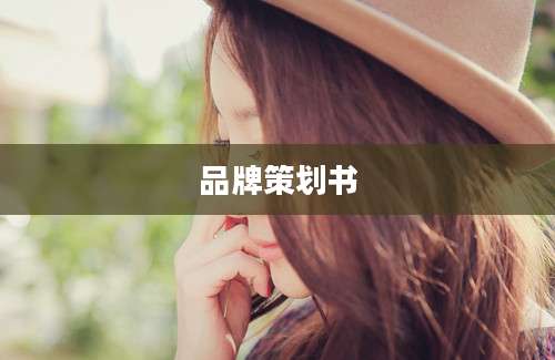 品牌策划书