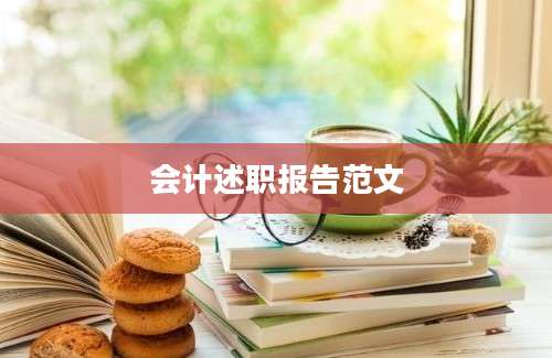 会计述职报告范文