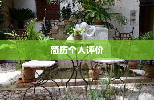 简历个人评价