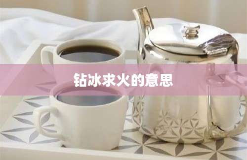 钻冰求火的意思