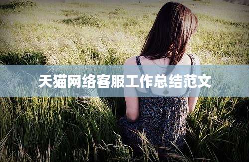 天猫网络客服工作总结范文