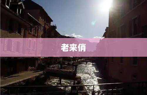 老来俏