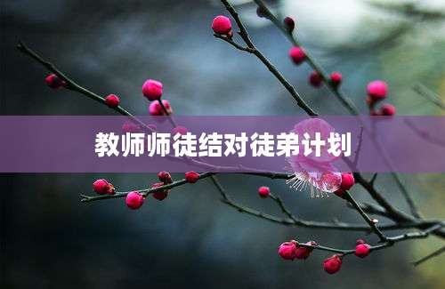 教师师徒结对徒弟计划