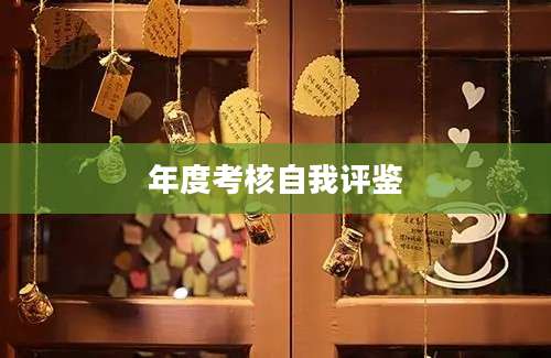 年度考核自我评鉴