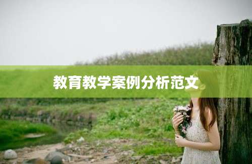 教育教学案例分析范文