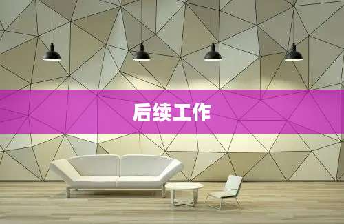 后续工作