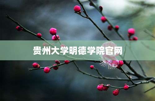 贵州大学明德学院官网