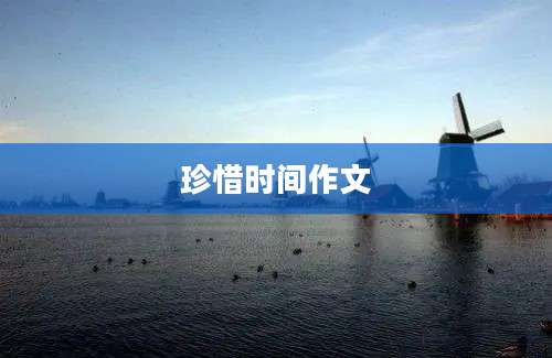 珍惜时间作文