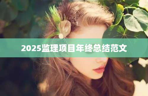 2025监理项目年终总结范文