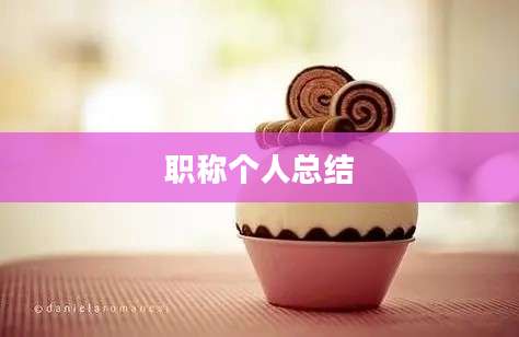 职称个人总结