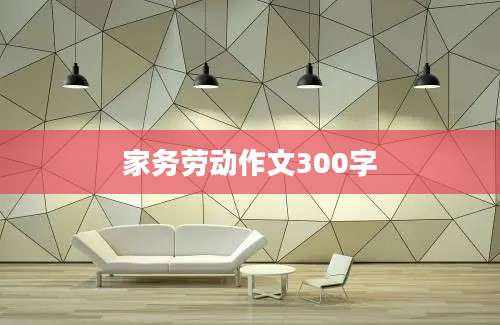 家务劳动作文300字