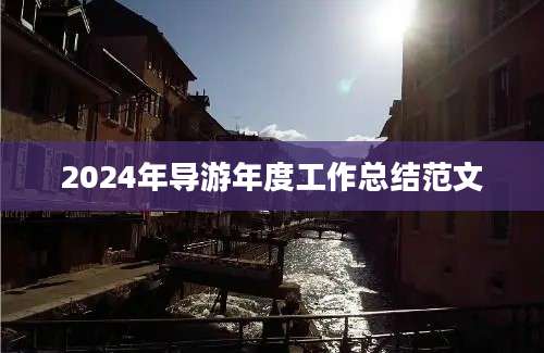 2024年导游年度工作总结范文