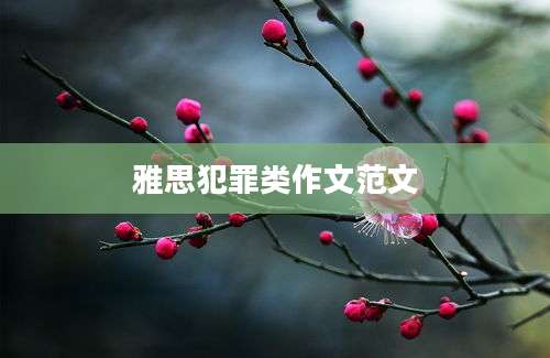 雅思犯罪类作文范文