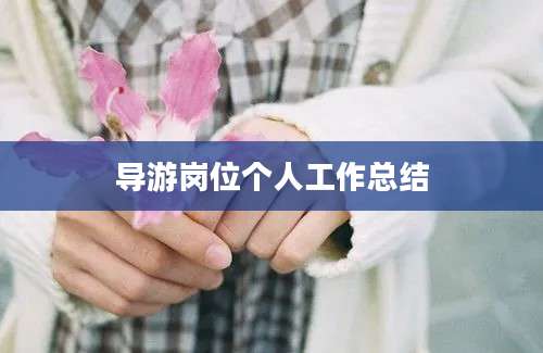导游岗位个人工作总结