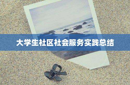 大学生社区社会服务实践总结