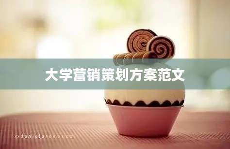 大学营销策划方案范文