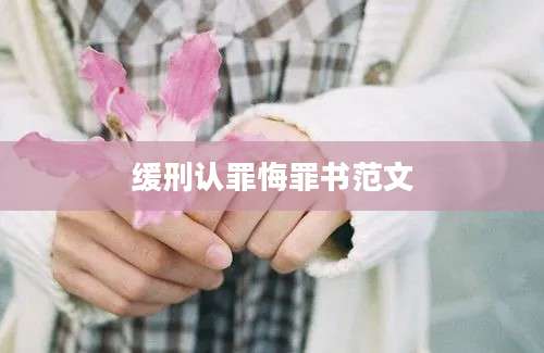 缓刑认罪悔罪书范文