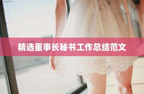 精选董事长秘书工作总结范文