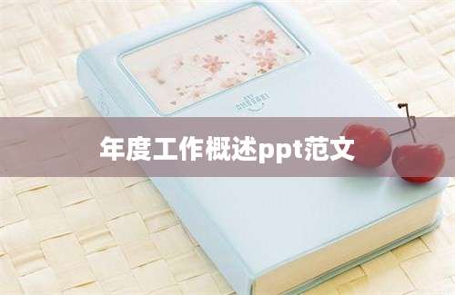 年度工作概述ppt范文