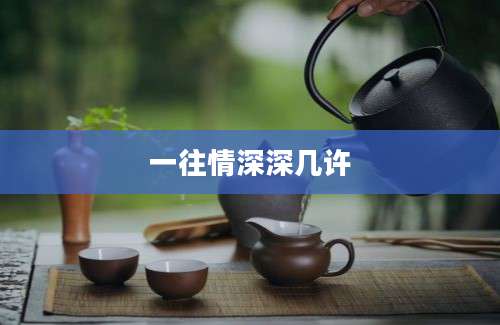 一往情深深几许