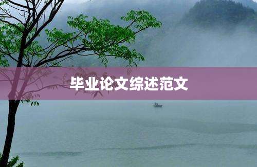 毕业论文综述范文