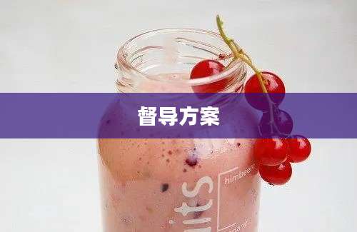 督导方案