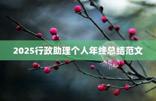 2025行政助理个人年终总结范文