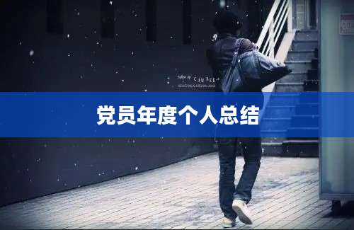 党员年度个人总结